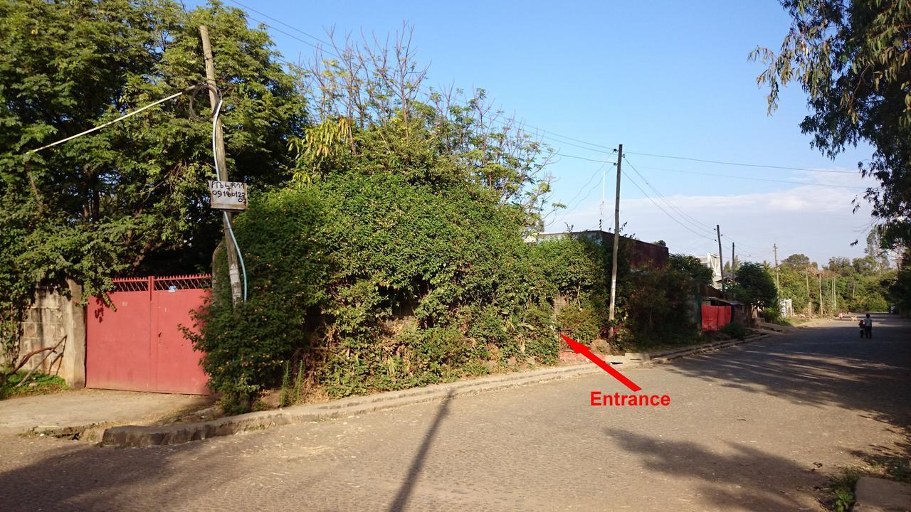 B&B The Annex Bahir Dar Exterior foto